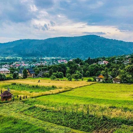 Vila Azart2020 Dilyatyn Exteriér fotografie